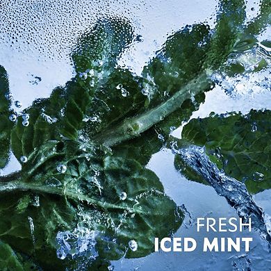 Y Iced Cologne Eau de Toilette Intense with Mint and Patchouli