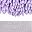 Grey Purple Leaf