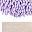 Lightbrown Purpleleaf
