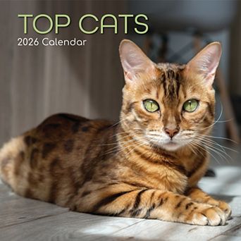 2026 Square Wall Calendar, Top Cats, 16-Month Animals Theme 12x12 in