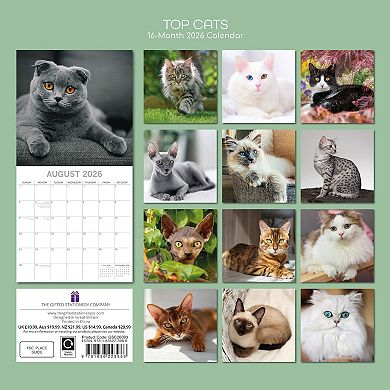 2026 Square Wall Calendar, Top Cats, 16-Month Animals Theme 12x12 in