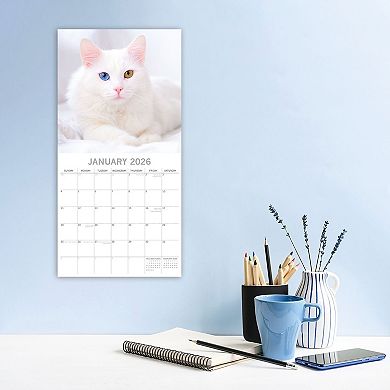 2026 Square Wall Calendar, Top Cats, 16-Month Animals Theme 12x12 in
