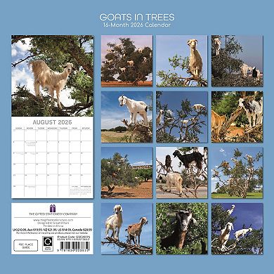 2026 Square Wall Calendar, Goats in Trees, 16-Month Animals Theme 12x12 in