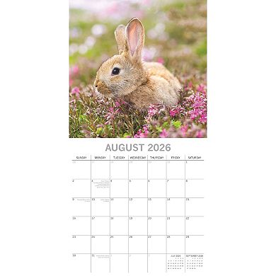 2026 Square Wall Calendar, Cute Bunnies, 16-Month Animals Theme 12x12 in