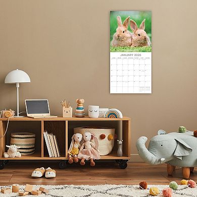 2026 Square Wall Calendar, Cute Bunnies, 16-Month Animals Theme 12x12 in