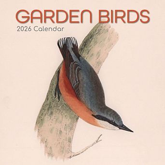 2026 Square Wall Calendar, Garden Birds, 16-Month Bird Theme 12x12 in