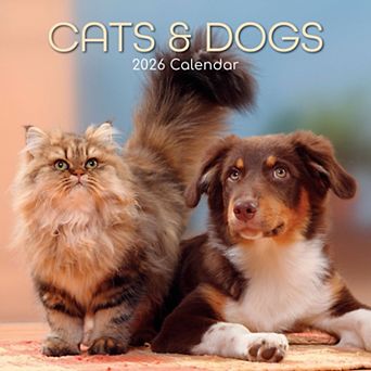 2026 Square Wall Calendar, Cats & Dogs, 16-Month Animals Theme, 12x12 in