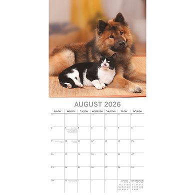 2026 Square Wall Calendar, Cats & Dogs, 16-Month Animals Theme, 12x12 in