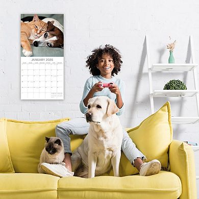 2026 Square Wall Calendar, Cats & Dogs, 16-Month Animals Theme, 12x12 in