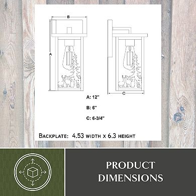 VAXCEL Acadia Matte Black Rustic Outdoor Wall Sconce Light, Clear Seeded Glass