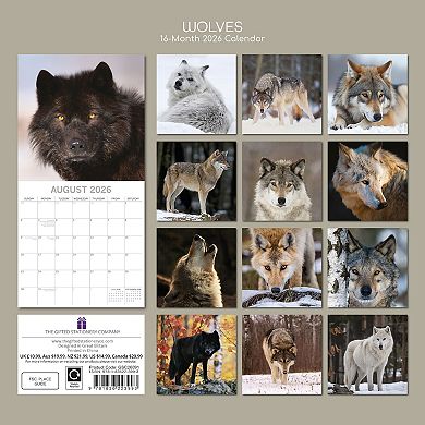 2026 Square Wall Calendar, Wolves, 16-Month Animals Theme 12x12 in