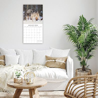 2026 Square Wall Calendar, Wolves, 16-Month Animals Theme 12x12 in