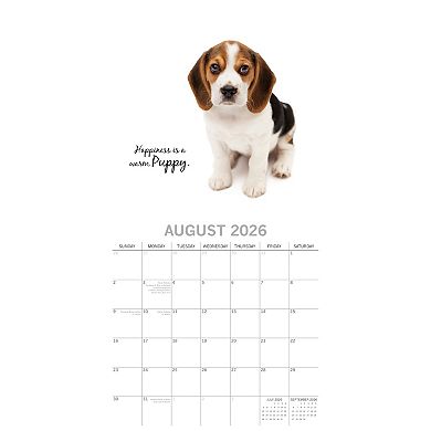 2026 Square Wall Calendar, Adorable Dogs, 16-Month Animals Theme, 12x12 in
