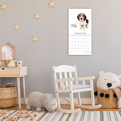 2026 Square Wall Calendar, Adorable Dogs, 16-Month Animals Theme, 12x12 in