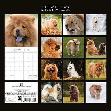 2026 Square Wall Calendar, Chow Chow, 16-Month Animals Theme, 12x12 in