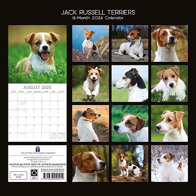 2026 Square Wall Calendar, Jack Russells, 16-Month Paw Prints Theme 12x12 in