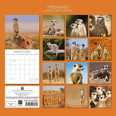 2026 Square Wall Calendar, Meerkats, 16-Month Animals Theme 12x12 in