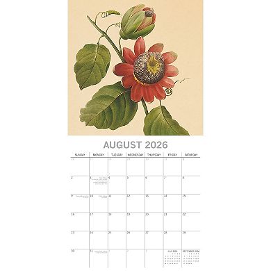 2026 Square Wall Calendar, Redouté, 16-Month Arts & Antiques Theme 12x12 in