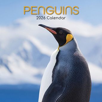 2026 Square Wall Calendar, Penguins, 16-Month Animals Theme 12x12 in