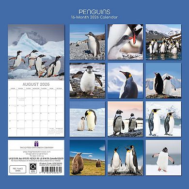 2026 Square Wall Calendar, Penguins, 16-Month Animals Theme 12x12 in