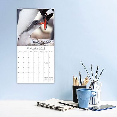 2026 Square Wall Calendar, Penguins, 16-Month Animals Theme 12x12 in