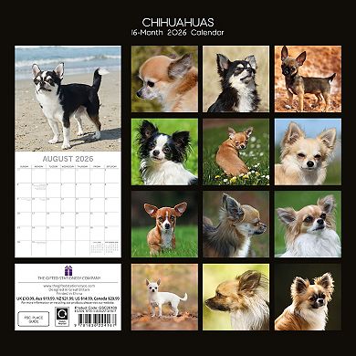 2026 Square Wall Calendar, Chihuahuas, 16-Month Paw Prints Theme, 12x12 in