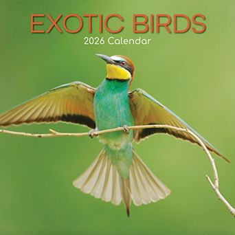2026 Square Wall Calendar, Exotic Birds, 16-Month Animals Theme 12x12 in