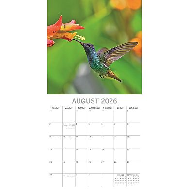 2026 Square Wall Calendar, Exotic Birds, 16-Month Animals Theme 12x12 in
