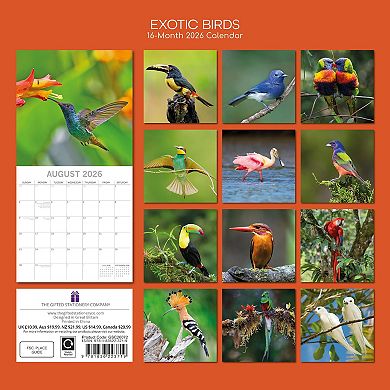 2026 Square Wall Calendar, Exotic Birds, 16-Month Animals Theme 12x12 in