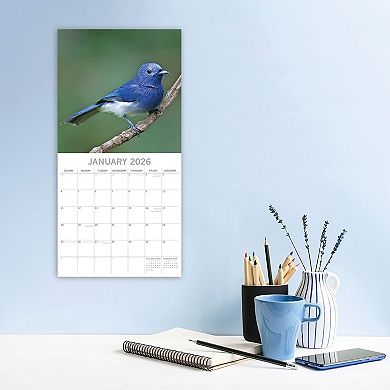 2026 Square Wall Calendar, Exotic Birds, 16-Month Animals Theme 12x12 in