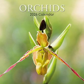 2026 Square Wall Calendar, Orchids, 16-Month Floral Theme 12x12 in