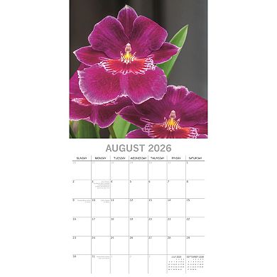 2026 Square Wall Calendar, Orchids, 16-Month Floral Theme 12x12 in