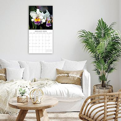 2026 Square Wall Calendar, Orchids, 16-Month Floral Theme 12x12 in