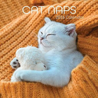 2026 Square Wall Calendar, Cat Naps, 16-Month Animals Theme, 12x12 in