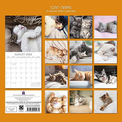 2026 Square Wall Calendar, Cat Naps, 16-Month Animals Theme, 12x12 in