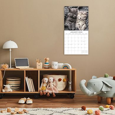 2026 Square Wall Calendar, Cat Naps, 16-Month Animals Theme, 12x12 in