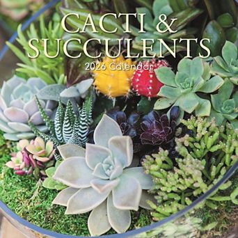 2026 Square Wall Calendar, Cacti and Succulents, 16-Month Floral Theme, 12x12