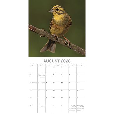 2026 Square Wall Calendar, Birds, 16-Month Animals Theme, 12x12 in