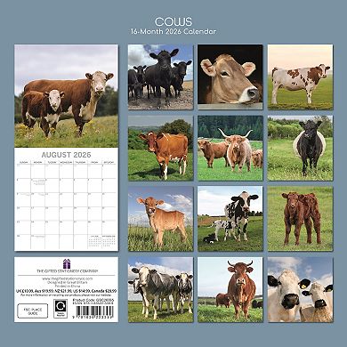 2026 Square Wall Calendar, Cows, 16-Month Animals Theme, 12x12 in