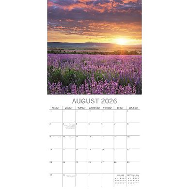2026 Square Wall Calendar, Lavender, 16-Month Floral Theme 12x12 in
