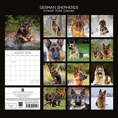2026 Square Wall Calendar, German Shepherds, 16-Month Paw Prints Theme 12x12 in