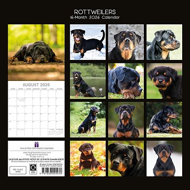 2026 Square Wall Calendar, Rottweiler, 16-Month Paw Prints Theme 12x12 in