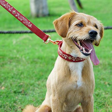 Blueberry Pet Western Leather Dog Leash