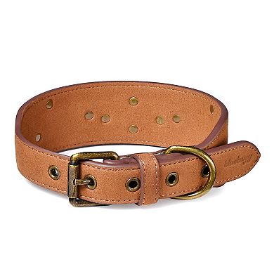 Blueberry Pet Microfiber Faux Leather Dog Collar