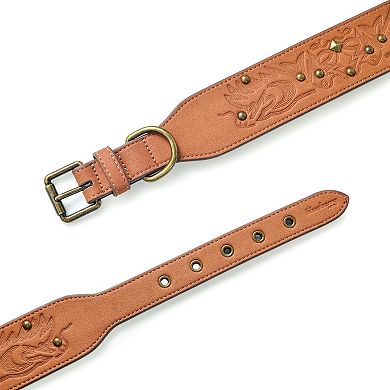 Blueberry Pet Microfiber Faux Leather Dog Collar