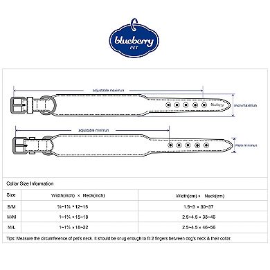 Blueberry Pet Microfiber Faux Leather Dog Collar