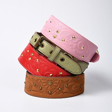 Blueberry Pet Microfiber Faux Leather Dog Collar