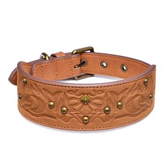 Blueberry Pet Microfiber Faux Leather Dog Collar