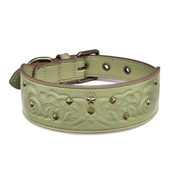 Blueberry Pet Microfiber Faux Leather Dog Collar