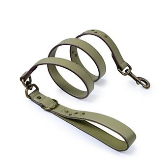 Blueberry Pet Microfiber Faux Leather Dog Leash